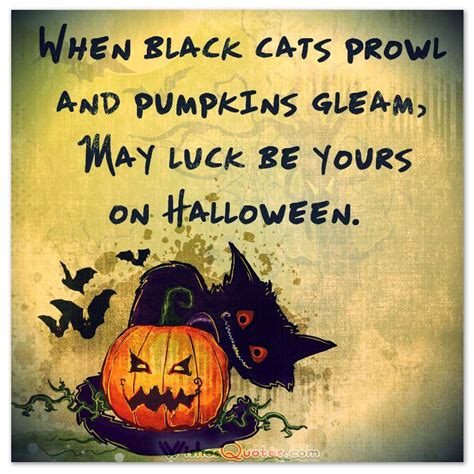 captions on halloween|funny halloween pics with captions.